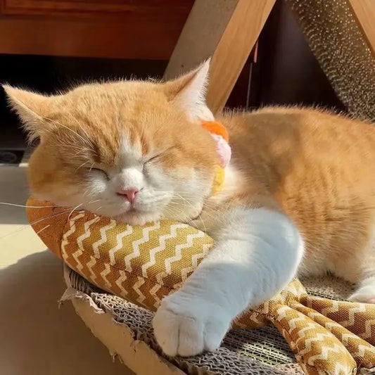 Interactive Catnip Toy - Funny Plush Fish Chew Toy for Kittens and Cats, Stimulating and Fun