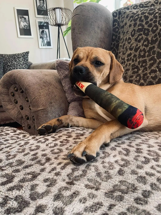 Squeaky Dog Cigar Toy – Interactive Plush Chew Toy with Joint Sound