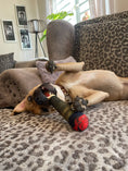 Bild in Galerie-Betrachter laden, Squeaky Dog Cigar Toy – Interactive Plush Chew Toy with Joint Sound

