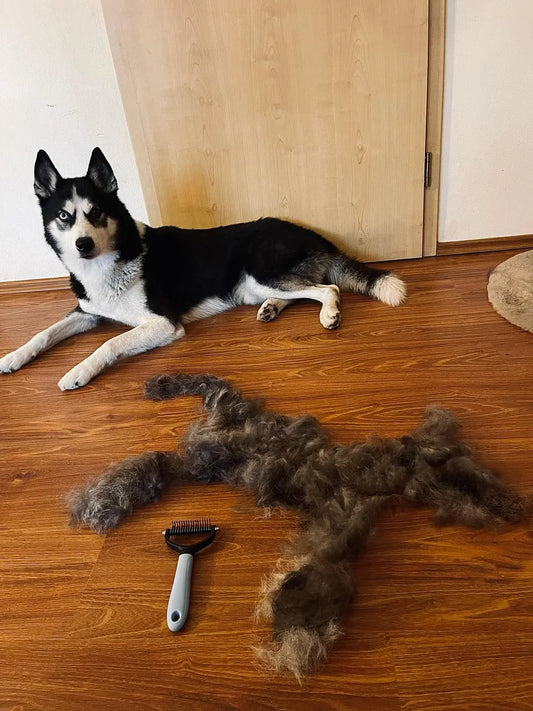  2-Sided Pet Dematting Comb – Safe Undercoat Rake for Dogs & Cats, Professional Grooming Tool for Mats, Tangles & Shedding
