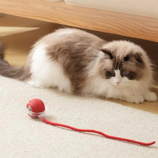 Self-Moving Cat Toy Ball – Rechargeable & Durable Interactive Pet Toy, Auto-Direction Change for Hours of Play