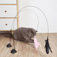 Charger l'image dans la visionneuse de la galerie, Cat Feather Teaser Toy – Interactive Wand with Bell and Suction Cup for Playful Cats
