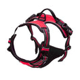 Bild in Galerie-Betrachter laden, Premium Dog Harness – Adjustable, Comfortable Vest for Dogs
